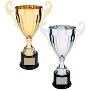 Trophy Cups