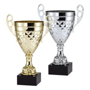 Acclaimed Cup