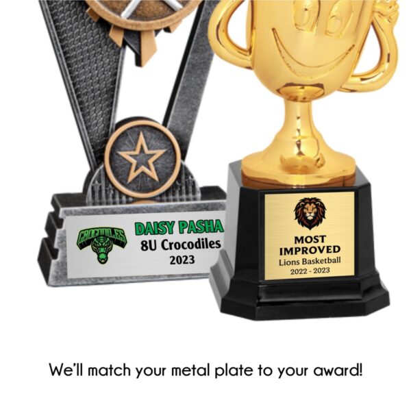 Shield Resin Award - Image 5