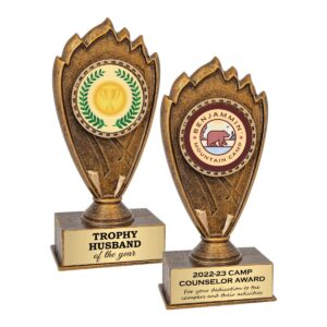 Blaze Generic Resin Award