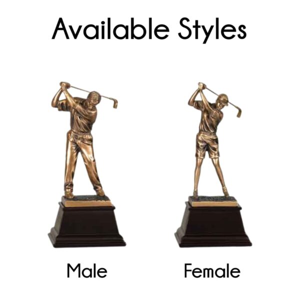 Bronze Golfer Resin Award - Image 3