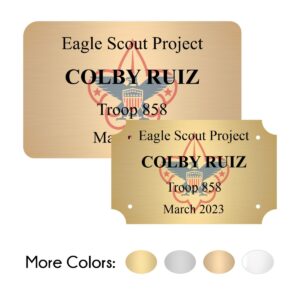 Eagle Scout Project Plate - Color Shadow Logo Style