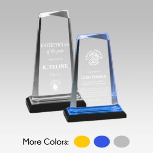 Gem Acrylic Award