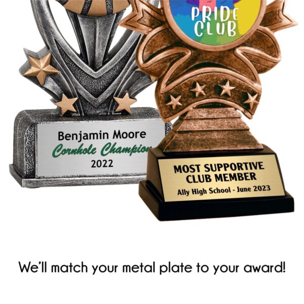 Shield Generic Resin Award - Image 7