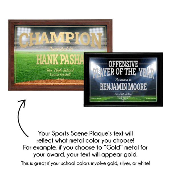 Sports Scene Plaque - Image 8