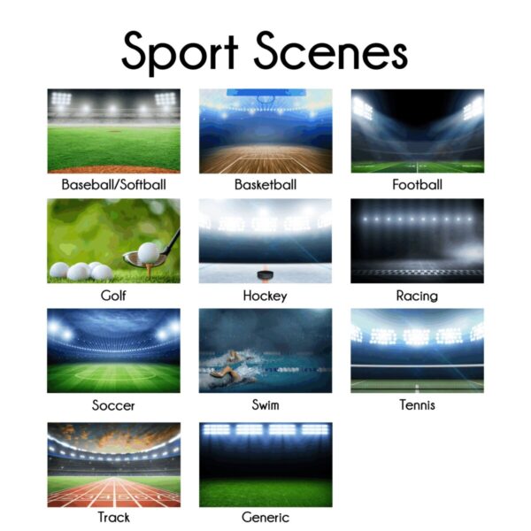 Sports Scene Plaque - Image 5