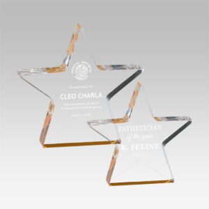 Star Acrylic Award