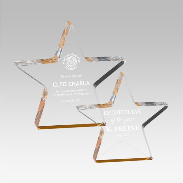 Star Acrylic Award