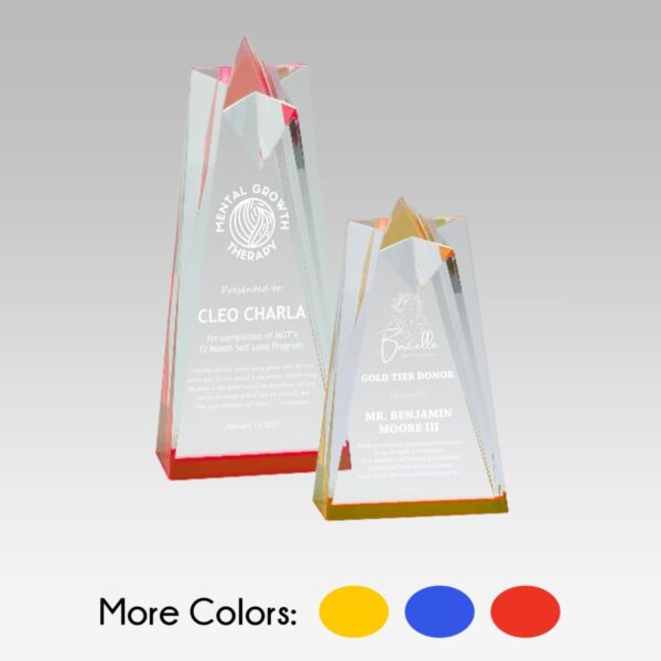 Sculpted Star Acrylic Award