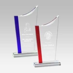 Swoop Top Acrylic Award
