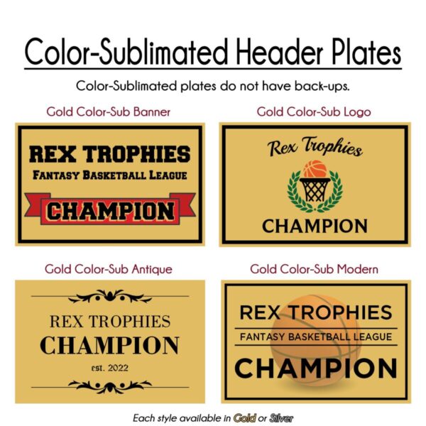 Colored Basketball Fantasy League Perpetual Trophy - Image 9