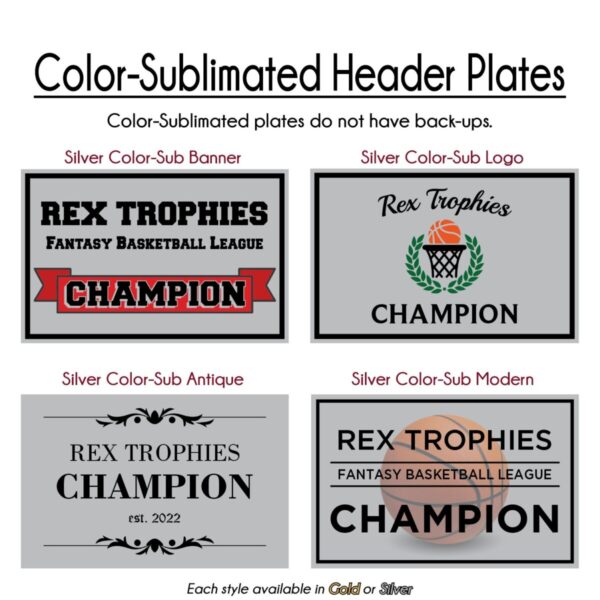 Colored Basketball Fantasy League Perpetual Trophy - Image 10