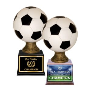 Colored Soccer Fantasy League Perpetual Trophy
