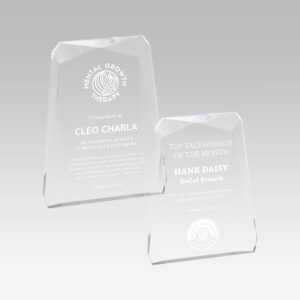 Beveled Rectangle Acrylic Award