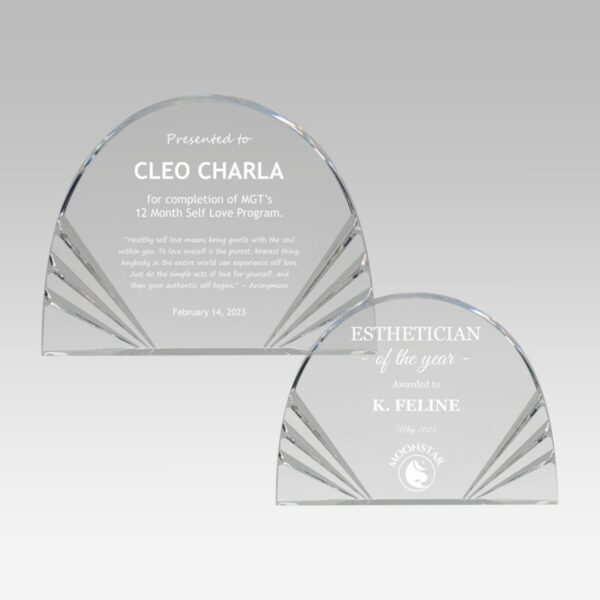 Bravo Acrylic Award