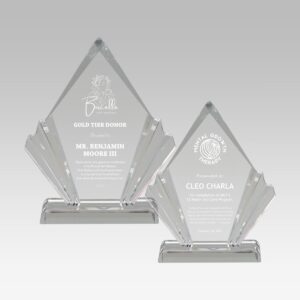 Flair Acrylic Award