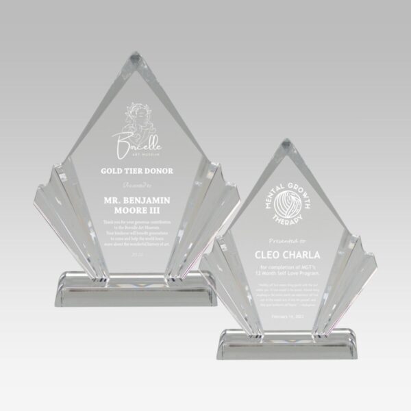 Flair Acrylic Award