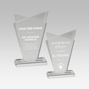 Infinity Acrylic Award