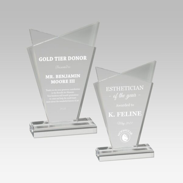 Infinity Acrylic Award