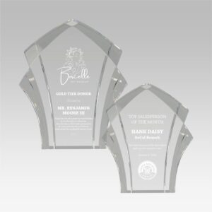 Panache Acrylic Award