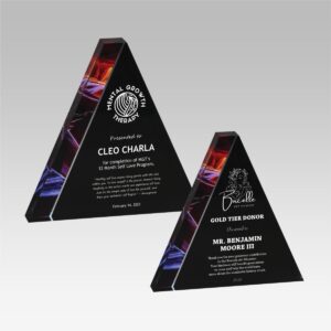 Prism Acrylic Award