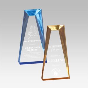 Skyscraper Acrylic Award