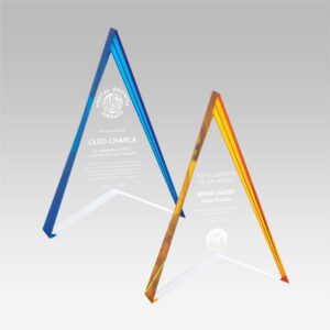 Spearhead Acrylic Award