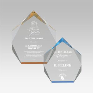 Spectra Diamond Acrylic Award