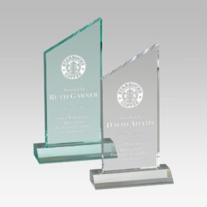 Peak Acrylic Award
