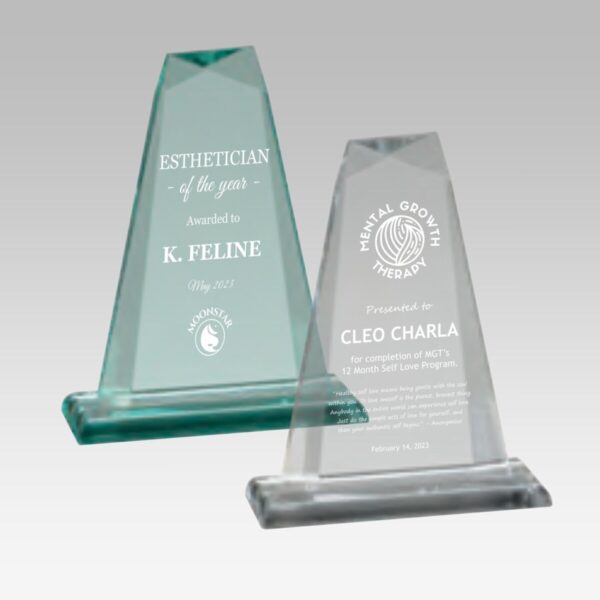 Pinnacle Acrylic Award
