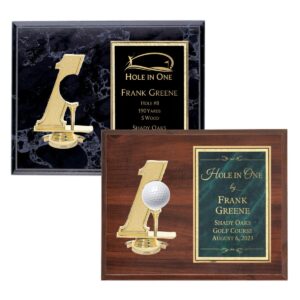 Hole in One Plaque (8"x10")