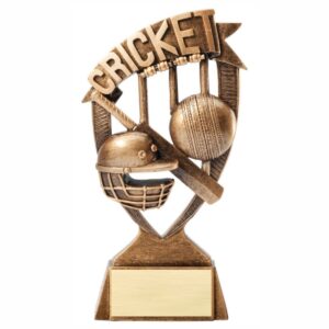 Banner Resin - Cricket