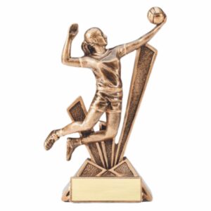 Check Mate Resin - Volleyball-F