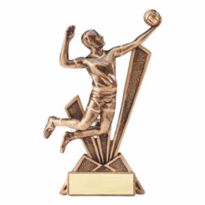 Check Mate Resin - Volleyball-M
