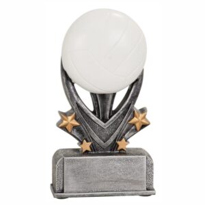 Varsity Sport Resin - Volleyball