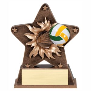 Starburst Resin - Volleyball